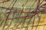 Polished Cherry Creek Jasper - China #318957-1